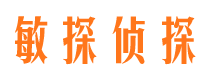 定结侦探公司